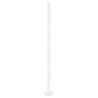 Deepleasure Gode Giant Snake 100 x 3cm Transparent